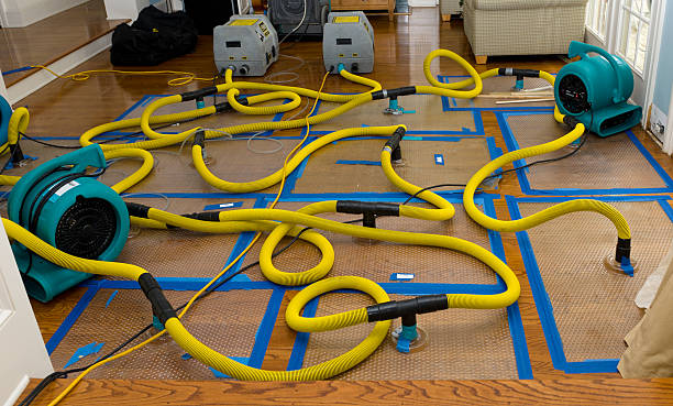 Professional Water Extraction technician working in Glendale, MO